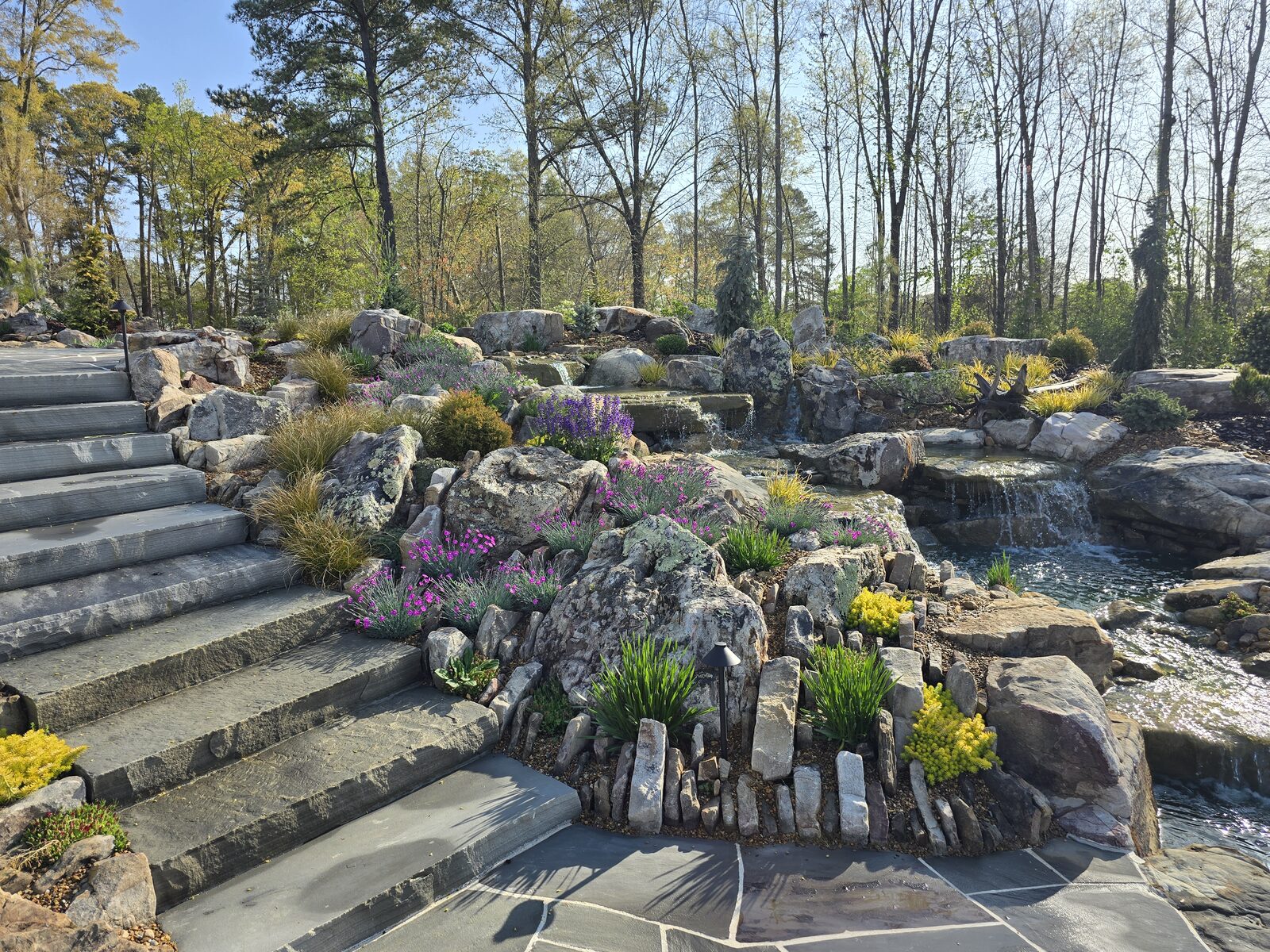 Wide view of the finished boulder waterfall and stone steps in spring, with purple and pink perennials in full bloom