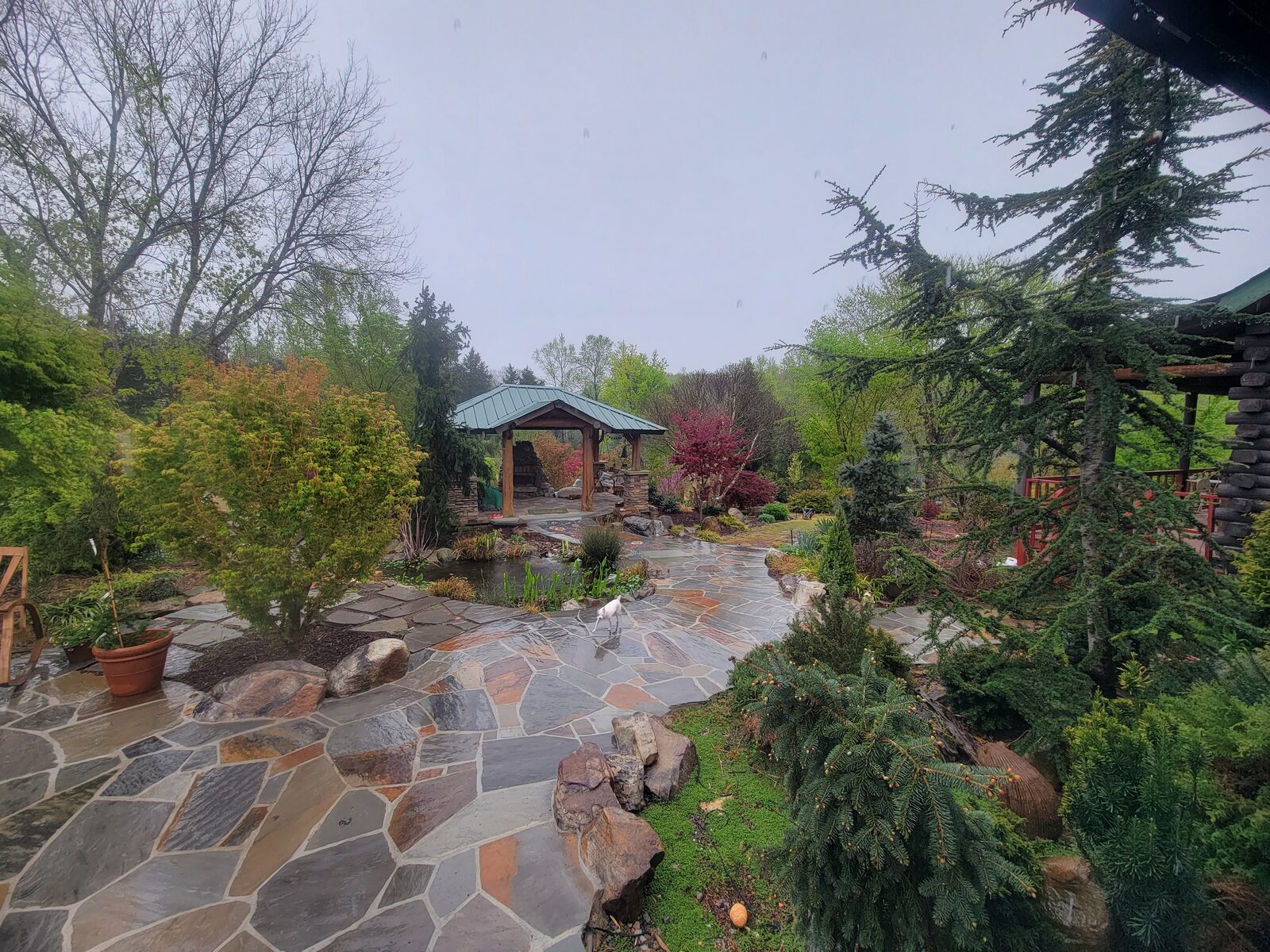 A flagstone path leading past a pond toward a timber-framed gazebo, seen on a rainy day